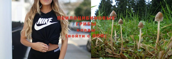 гашишное масло Абаза