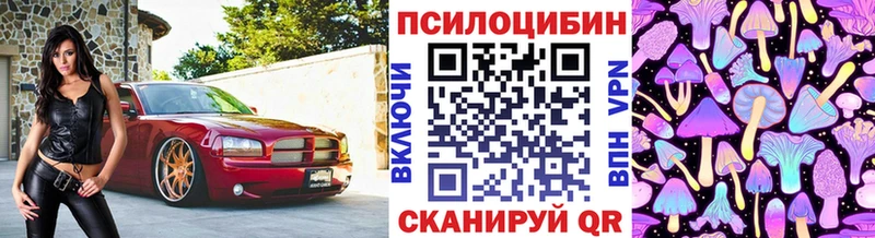 Псилоцибиновые грибы Psilocybe  Исилькуль 
